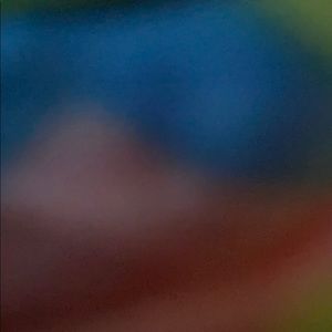 Meet your Posher, Brooklynn